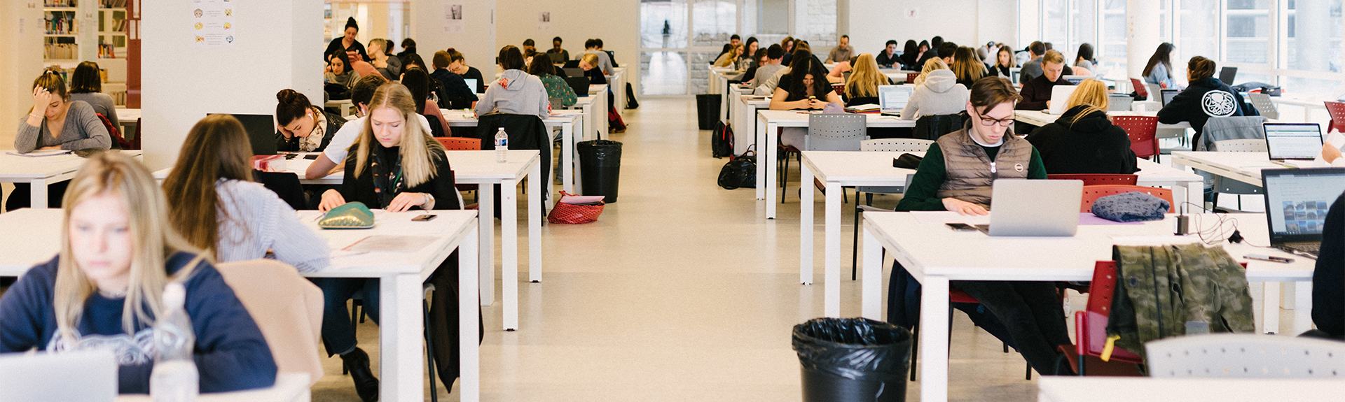 header bibliothèque campus saint paul étudiants qui révisent