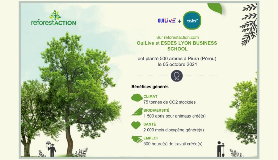 certificat plantation