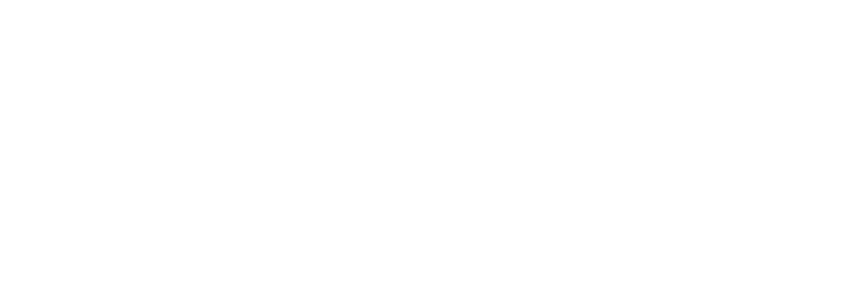 ESDES Business School